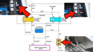 Circuito Eléctrico de Ventilador de Radiador