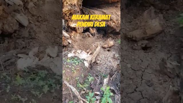 makam pendiri desa ,