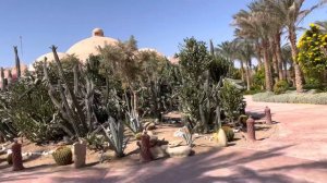 Отель Дрим Лагун/DREAM LAGOON MARSA ALAM 5*.Курорт Марса Алам. в Египте. Агент Оксана Шило. Обзор.