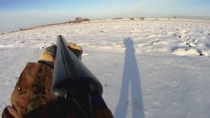Троплю зайца. Матёрый ушастый, много скидок.