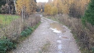 Сергей Есенин. Нивы сжаты, рощи голы... Андрей Гетман (художественное слово).