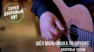 Шёл мальчишка по опушке.Лучшие классные песни  дворовой и армейской тематики.