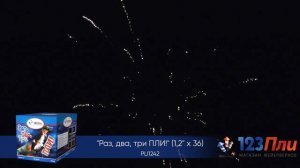 Раз, два, три ПЛИ! PLI1242