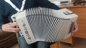 Гармонь мастеровая концертная. Как у Павла Арламова, ну, почти))