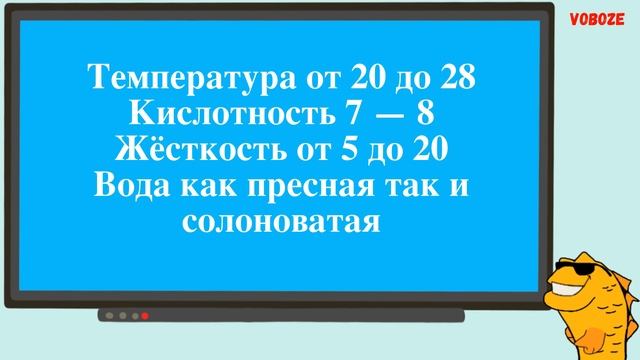 Меченосец Монтесумы Содержание в аквариуме Разведение Совместимость Меченосцев Монтесумы и кормлени смотреть онлайн