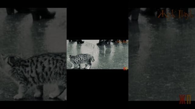 Не зоплач Челлендж. Блин это очень сложно!!!! смотреть онлайн