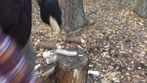 Нож COMFORT Kizer Cutlery. Уличный тест