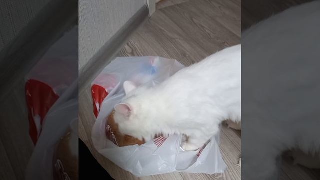 Ничего не получается
