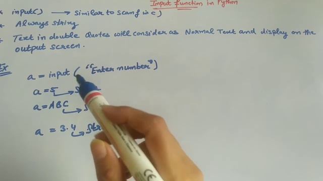Input Function | Python