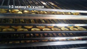 Невероятно быстрая ≋сушка яблочных чипсов на промышленном сушильном оборудовании - УкрСушка