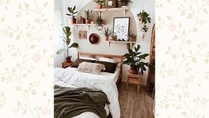 Растения в интерьере/ озеленение дома / комнатные растения / цветы