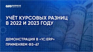 Учёт курсовых разниц в 2022 и 2023 году. Как применять 67-ФЗ? Практика учёта в «1С:ERP»