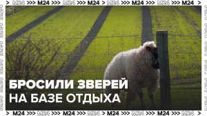 Брошенных зверей обнаружили на базе отдыха в Подмосковье - Москва 24