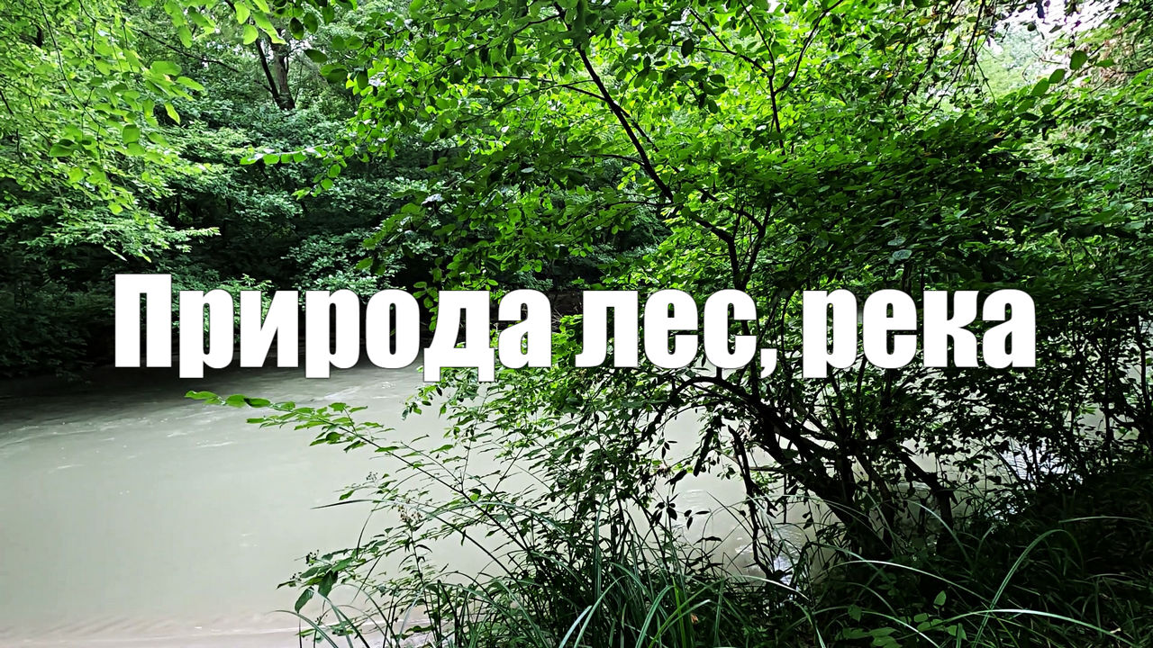 Природа, лес, река (шум воды, пение птиц, звук леса)  для релаксации