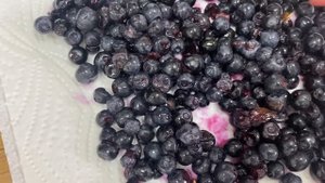 Финский ПИРОГ с ЧЕРНИКОЙ и сметанной заливкой