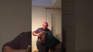 Виновата- ли я.....( гармонь)