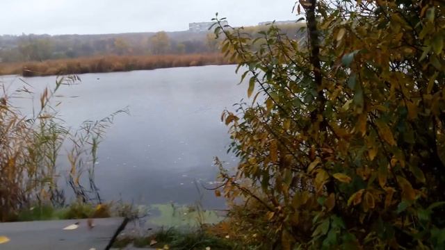 Славянск. 26 октября 2022г. Вечер. смотреть онлайн