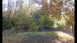 Мое слайд-шоу ))) Ущерпье