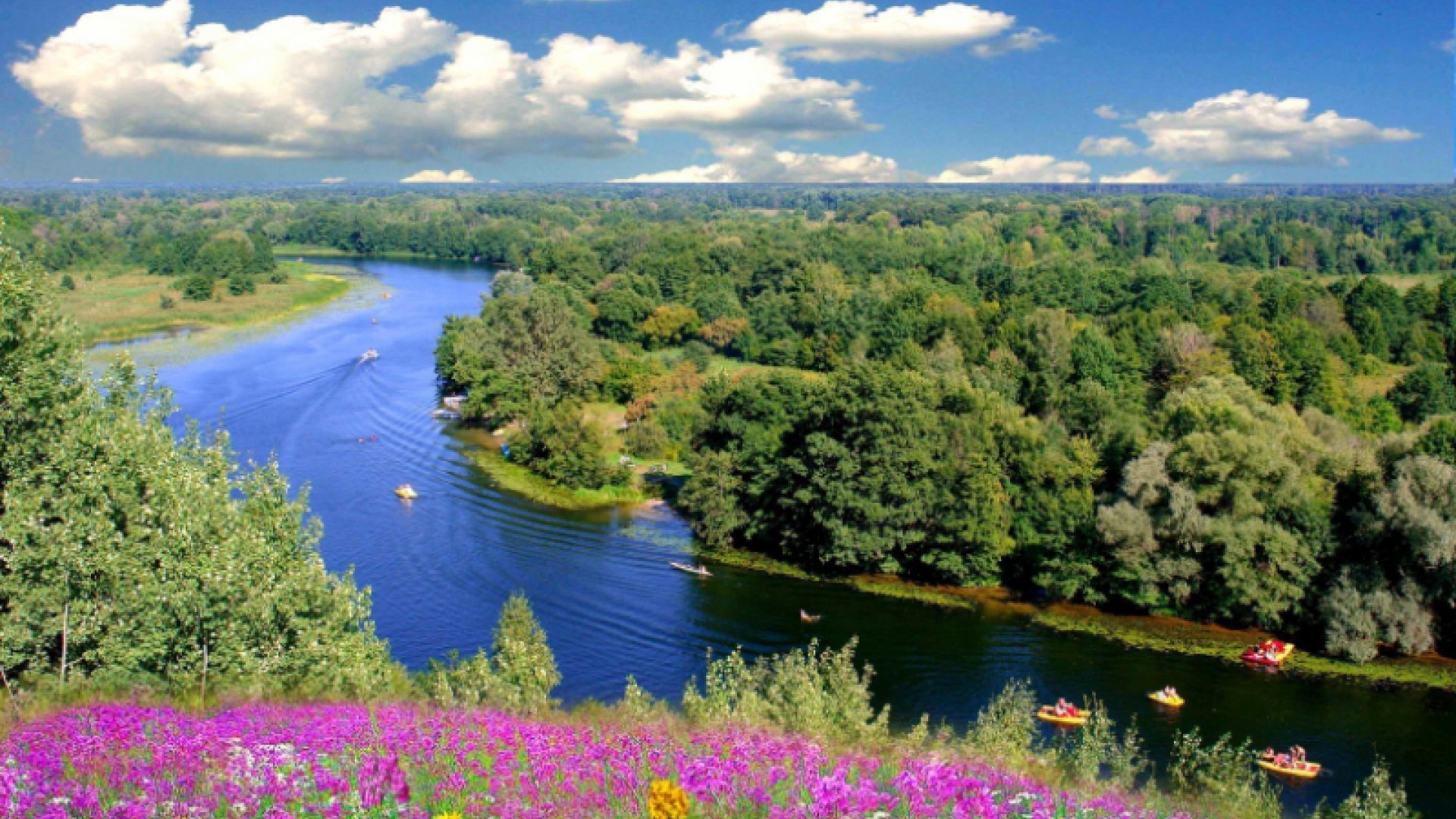 Поисковый дайджест №2 (Павловск) смотреть онлайн