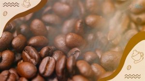 Кофе ☕️ Виды. Любимый напиток