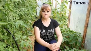 Эта ПОДКОРМКА для помидор, перца, баклажан УВЕЛИЧИТ УРОЖАЙ и ЗАЩИТИТ ОТ БОЛЕЗНЕЙ!