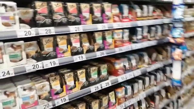 VLOG: Покупки для йоркширских терьеров смотреть онлайн