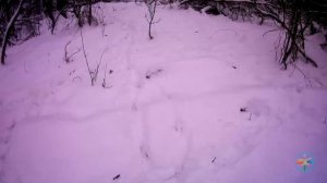 Новогодний поход 2021