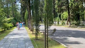 объединение пансионатов «Курорт Пицунда», часть территории