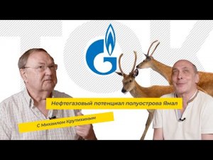 Газовый потенциал полуострова Ямал. С Михаилом Крутихиным (ТЭК-ТОК 13).mp4