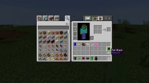 Minecraft Bedrock Edition Inventory Pets Addon Download (UPDATE)