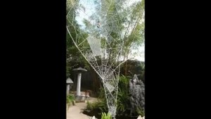 Новые идеи для сада Делаем свой сад красивым
