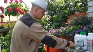 Баковая смесь, и вы забудете о белокрылке, паутинном клеще и грибковых заболеваний