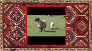 Изучаем Армянский вместе. Домашние животные