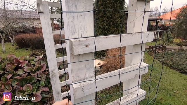 Опоры для клематисов: перголы, арки, решетки, сетки и тд. Что из этого выбрать? Мои рекомендации смотреть онлайн