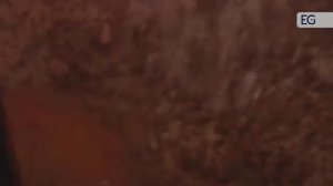 Станок для производства лего-кирпича 2-25