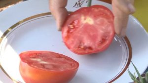 Дачные советы Галины Старосельцевой Октябрь 12-2023