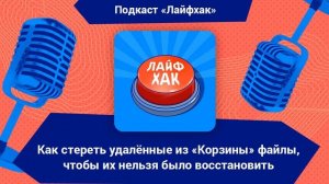 Как стереть удалённые из «Корзины» файлы, чтобы их нельзя было восстановить