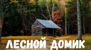 Страшная история. Лесной домик.