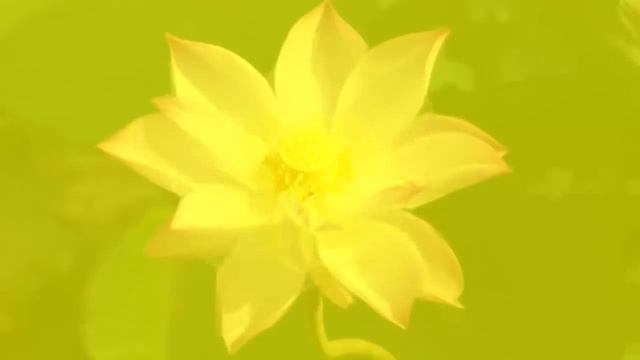 Сила звука  Массаж всех чакр тонами 174Гц 285Гц 396Гц 417Гц 528Гц 639Гц 741Гц 852Гц 963 Гц