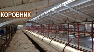 Устройство коровника на 140 мест. КФХ Кончиц.