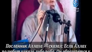 ЛЮБОВЬ АЛЛАХА - ШЕЙХ АБУ ИСХАК АЛЬ-ХУВЕЙНИ