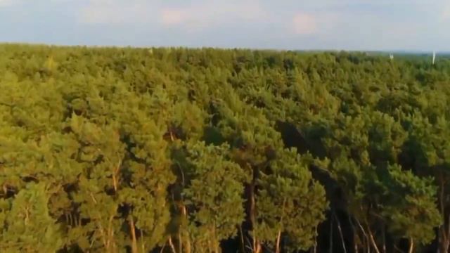 В честь дня рождения @telecube2007 Часть 2: Эволюция Интро Выпуск 1: Альмар/Телевизионщик/TeleCube смотреть онлайн