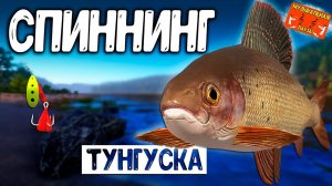 РР4/ рыбалка для души, ловим как универсал, общаемся 15.01.24