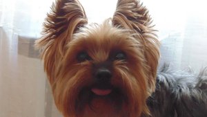 5 ночей с Тимохой