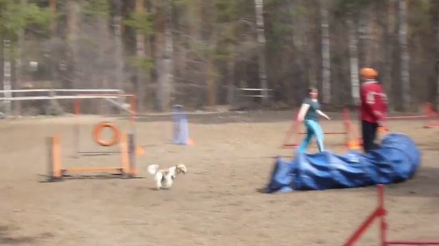 2 мая - Дружинина Ольга и Риск дж