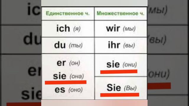 15 урок. Местоимения в немецком. #немецкийдляначинающих #длядетей #мультик