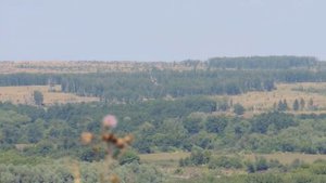 Воронежская область, Хохольский район, село Борщево