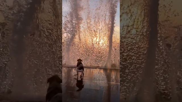 Когда жена не отпускает на рыбалку. смотреть онлайн