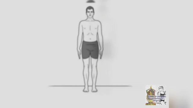 ТАДАСАНА | ПОЗА ГОРЫ | АЗБУКА ЙОГИ | УРОК 1 #yogateacher #coach #tadasana #онлайн_тренер #поза_горы
