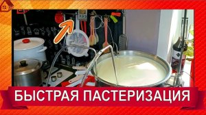 ПАСТЕРИЗАЦИЯ МОЛОКА для сыра❗ нужна ли она и зачем? Как пастеризовать молоко  в домашних условиях?